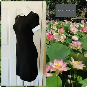 Ann Taylor white collar stretchy knit dress sz XS